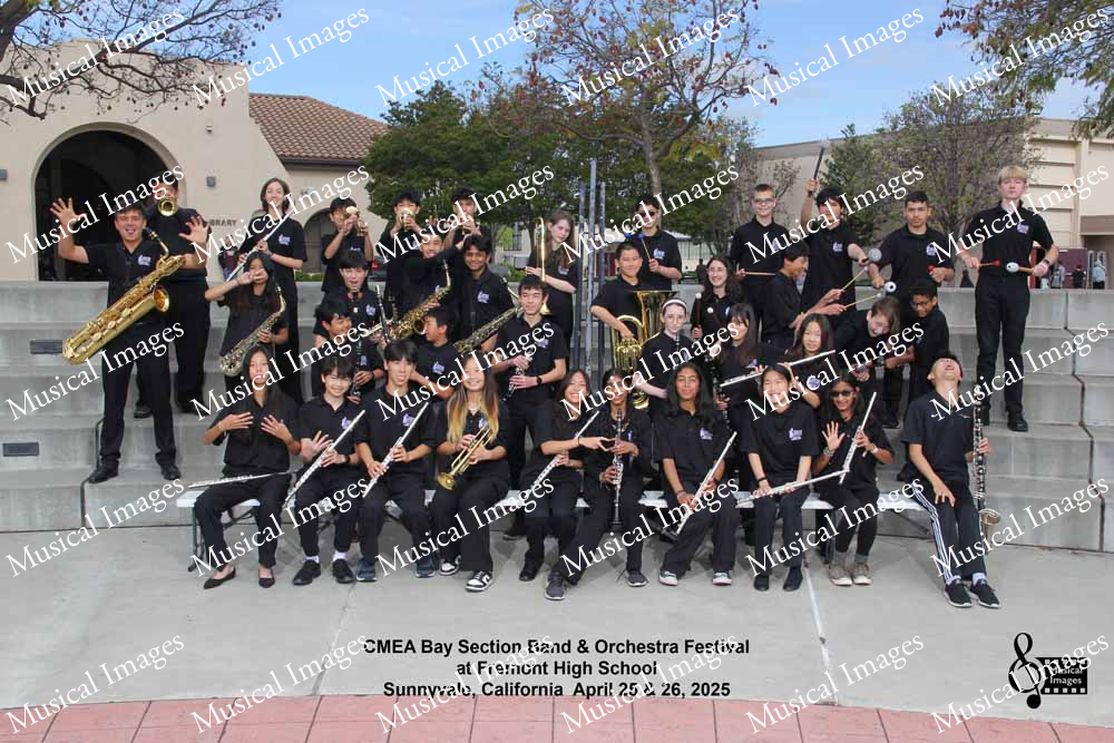 Musical Images